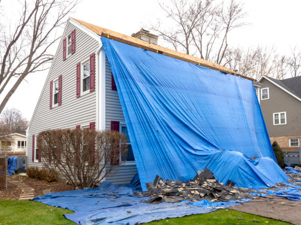 Affordable siding repair and maintenance services in Merrifield, VA